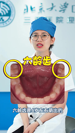 什么是六齡齒?